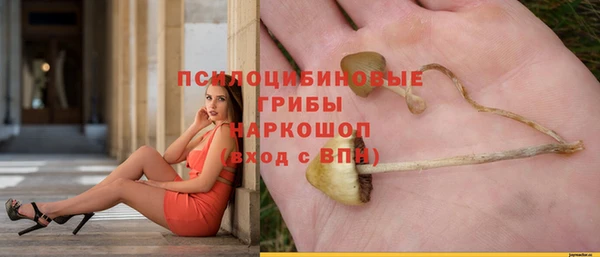 бутират Арсеньев