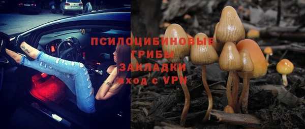 гидропоника Аркадак
