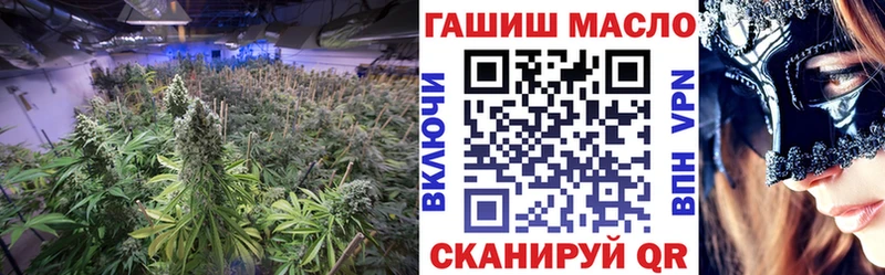Купить  Суджа  ТГК Wax 
