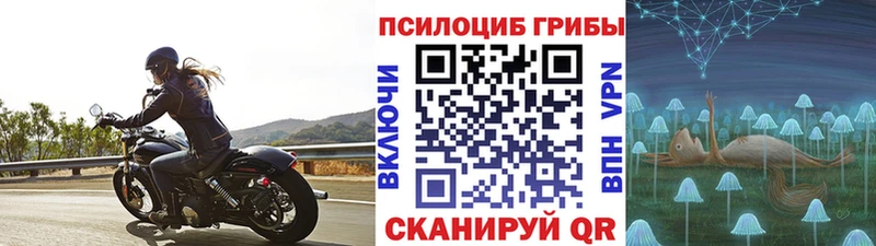 Купить где Суджа Галлюциногенные грибы GOLDEN TEACHER