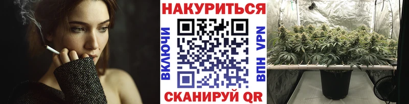 Купить  Суджа  Каннабис ГИДРОПОН 